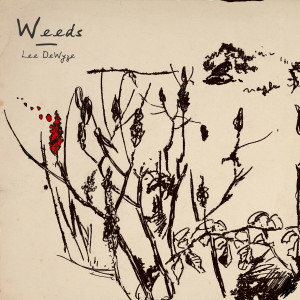 收聽Lee DeWyze的Weeds歌詞歌曲