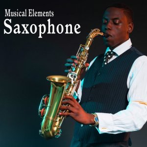 收聽Sound Ideas的Baritone Saxophone Plays a Short Roll Accent歌詞歌曲