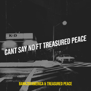 bankzofamerica的专辑Cant Say No