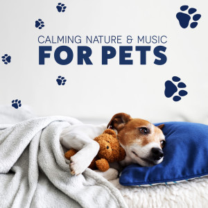 Album Calming Nature & Music for Pets (Reduce Pet Separation Anxiety Quickly, Sounds Helping in Pet Relaxation Therapy) oleh Pet Music Academy