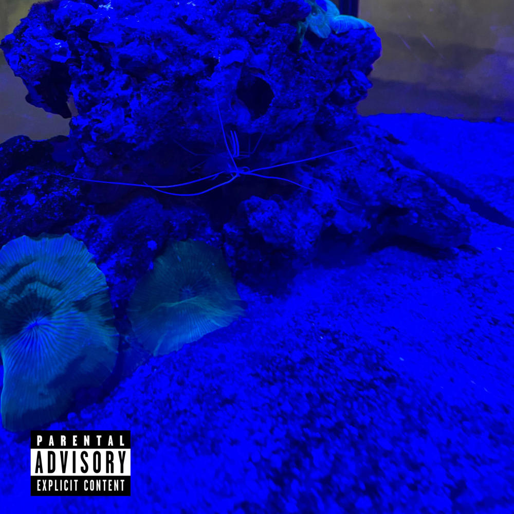 Conflei (Explicit)