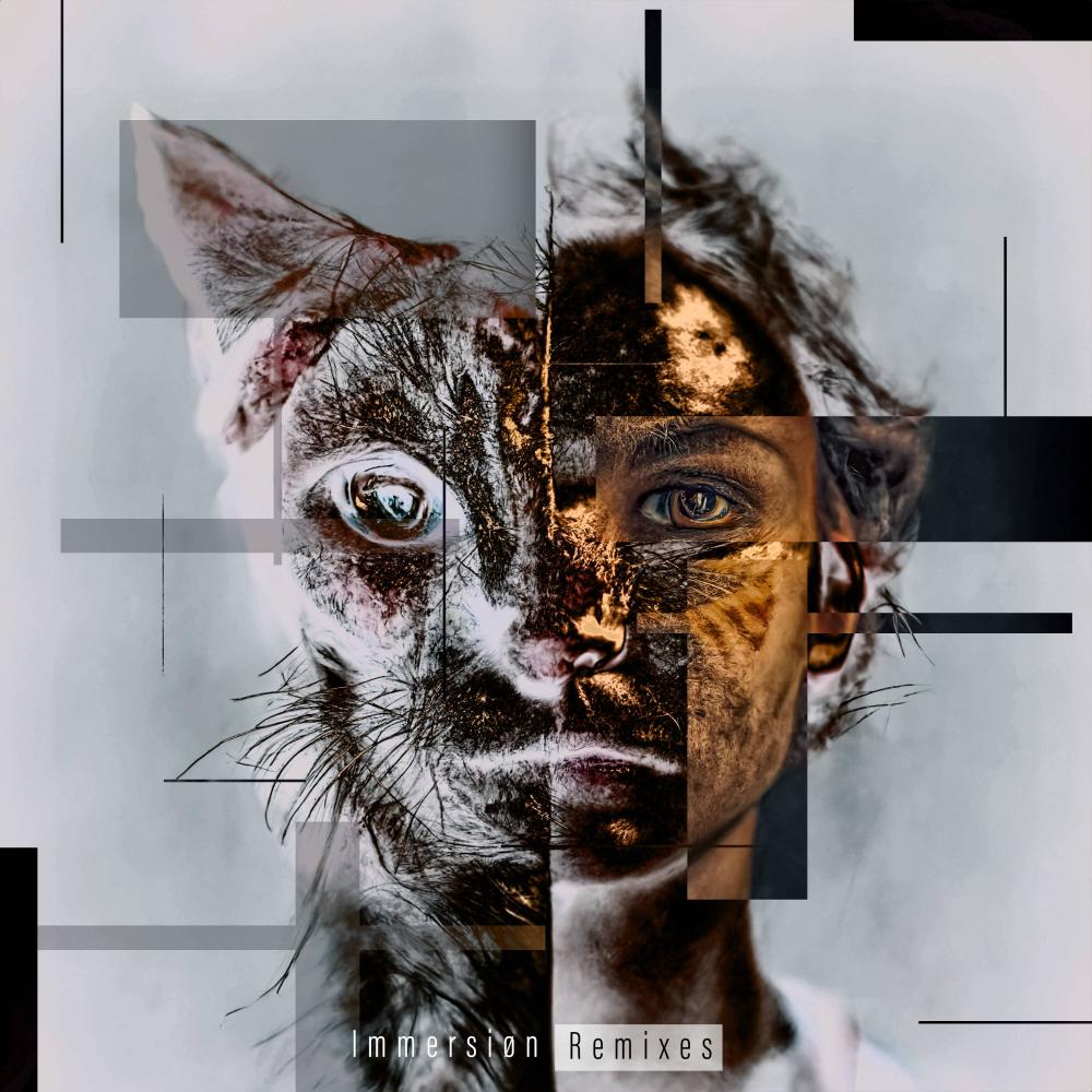 Hi (Eliotskii Remix)