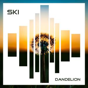 Album Dandelion from 