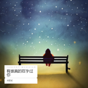 Album 有谁真的在乎过你 from 刘德斌