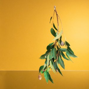 收聽Klue的No Lie歌詞歌曲