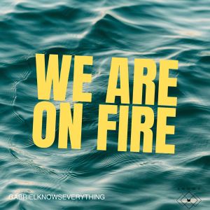 Album We Are On Fire from Gabrielknowseverything