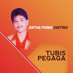 Dengarkan Tubis Pegaga lagu dari Antha Prima Ginting dengan lirik