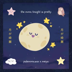 收聽palemoon.wav的the moon tonight is pretty歌詞歌曲
