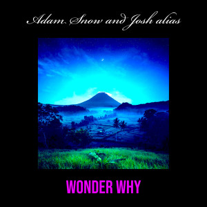 ดาวน์โหลดและฟังเพลง Wonder Why (Explicit) พร้อมเนื้อเพลงจาก Adam Snow