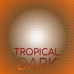 Listen to Tropical Dark song with lyrics from Hery Darck