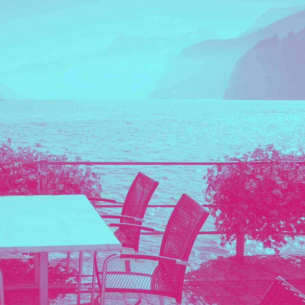 Friendly Ambiance for Lush Peace