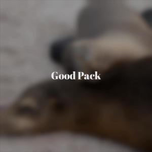 ดาวน์โหลดและฟังเพลง Whereunto Trunk พร้อมเนื้อเพลงจาก Arely Lucent