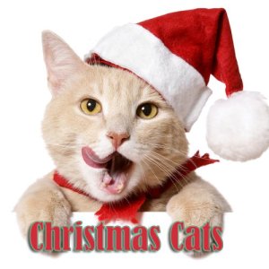 收聽Christmas Songs的Christmas Song歌詞歌曲