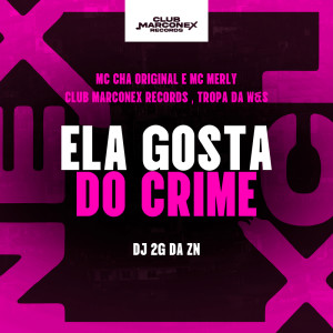 ดาวน์โหลดและฟังเพลง Ela gosta do crime (Explicit) พร้อมเนื้อเพลงจาก Dj 2g da zn