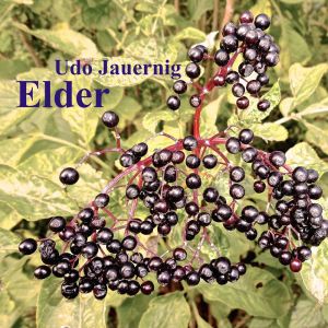 ดาวน์โหลดและฟังเพลง Left to Burn พร้อมเนื้อเพลงจาก Udo Jauernig