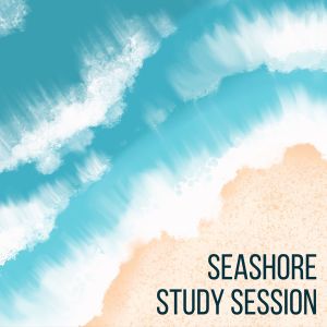 Calming Waves的专辑Seashore Study Session