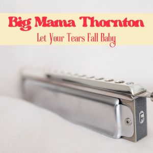 收听Big Mama Thornton的Hard Times歌词歌曲