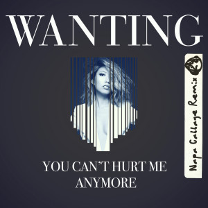 ดาวน์โหลดและฟังเพลง You Can't Hurt Me Anymore (Napa Cabbage Remix) พร้อมเนื้อเพลงจาก 曲婉婷