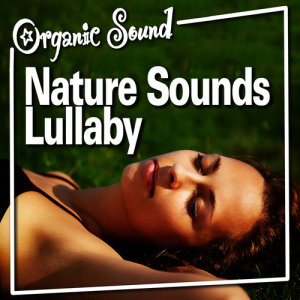 收聽Organic Sound的Constant Heavy Rainfall歌詞歌曲