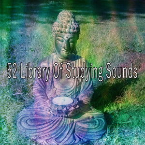 Massage Tribe的專輯52 Library of Studying Sounds