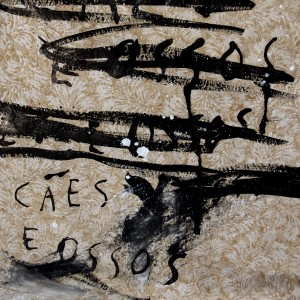 Listen to Cães e Ossos song with lyrics from Manel Cruz