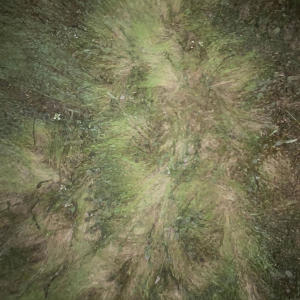 收聽Kert的Bizz (Explicit)歌詞歌曲