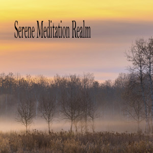 Música de concentración profunda的專輯Serene Meditation Realm