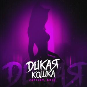 ดาวน์โหลดและฟังเพลง Дикая кошка พร้อมเนื้อเพลงจาก Zaytcev