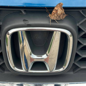 收聽ging3intc的Everything Taxed (Explicit)歌詞歌曲