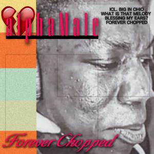 อัลบัม Forever Chopped ศิลปิน SecretAsian6