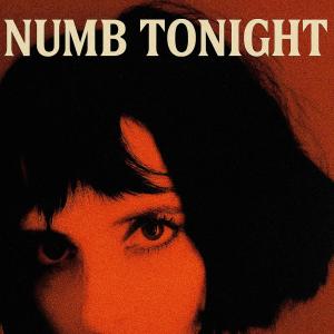 收聽Dani Pérez的Numb Tonight歌詞歌曲