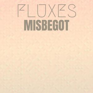 Listen to Fluxes Misbegot song with lyrics from Nher Moid