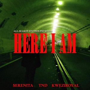 TND的專輯Here I Am