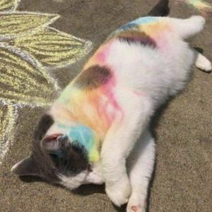 收聽flexer ☆ ♪的psycho (feat. keyblayde808) (Explicit)歌詞歌曲