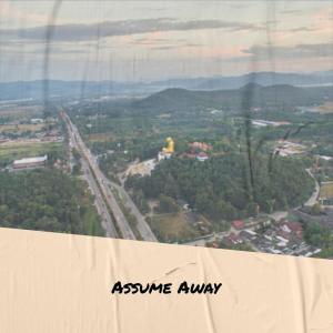 Album Assume Away from Various Artists