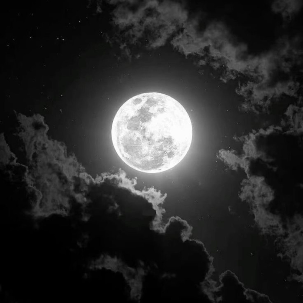 Moonlite Freestyle (Explicit)