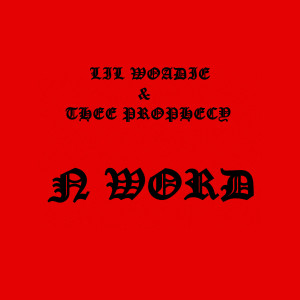 Lil Woadie的專輯N Word (Explicit)