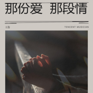 อัลบัม 那份爱 那段情 ศิลปิน 王韵