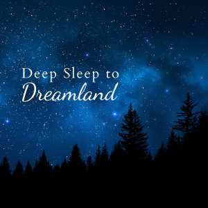 Relax α Wave的專輯Deep Sleep to Dreamland