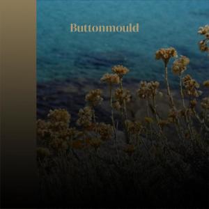 Various Artists的專輯Buttonmould