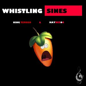 Listen to Whistling Sines song with lyrics from King Temoso