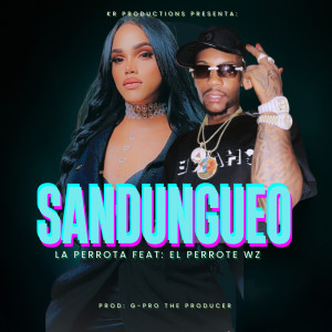 Listen to Sandungueo song with lyrics from La Perrota