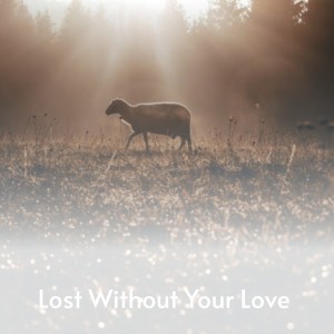 Album Lost Without Your Love from Various