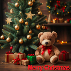 Album Merry Christmas from Sleep Infant