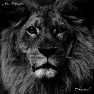 ดาวน์โหลดและฟังเพลง Animal พร้อมเนื้อเพลงจาก John Wolfington