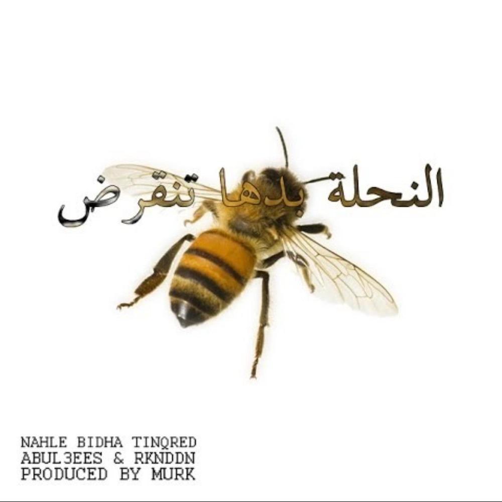 Na7leh (feat. Abul3ees & Rknddn) (Explicit)