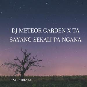 收聽NALENDRA M的DJ Meteor Garden X Ta Sayang Sekali Pa Ngana歌詞歌曲
