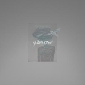 收听yaeow的does it really matter?歌词歌曲