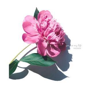 收听朴智宪的You Are My life (Inst.) (Instrumental)歌词歌曲