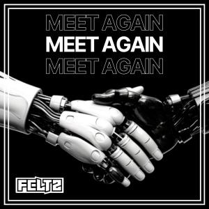 Album Meet Again from Feltz